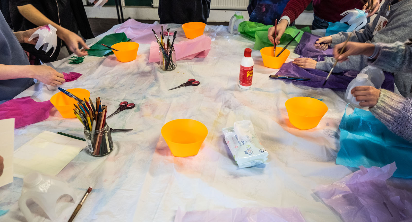 1 Glueing tissue on elephants to give a textured surface