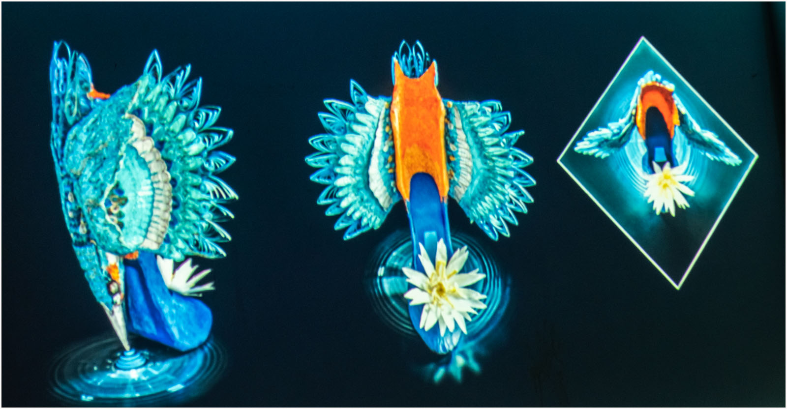 21st century lady's shoe