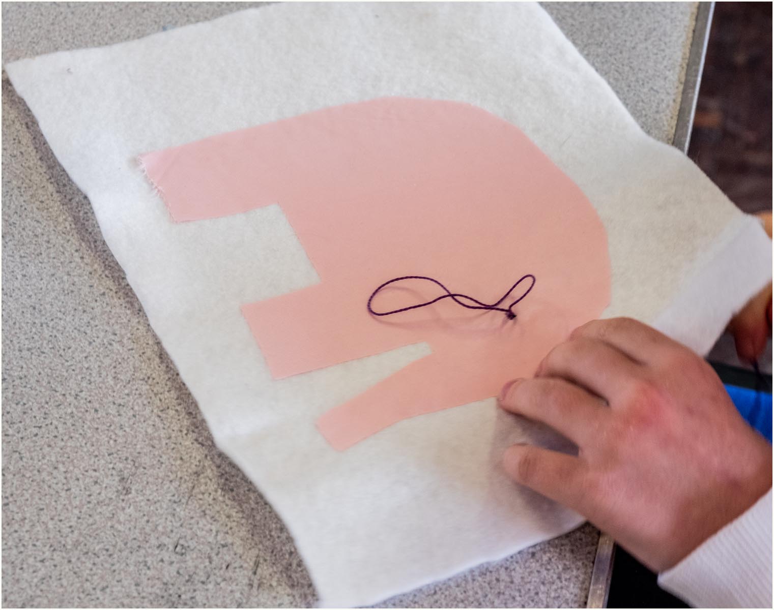 9 An eye for the elephant