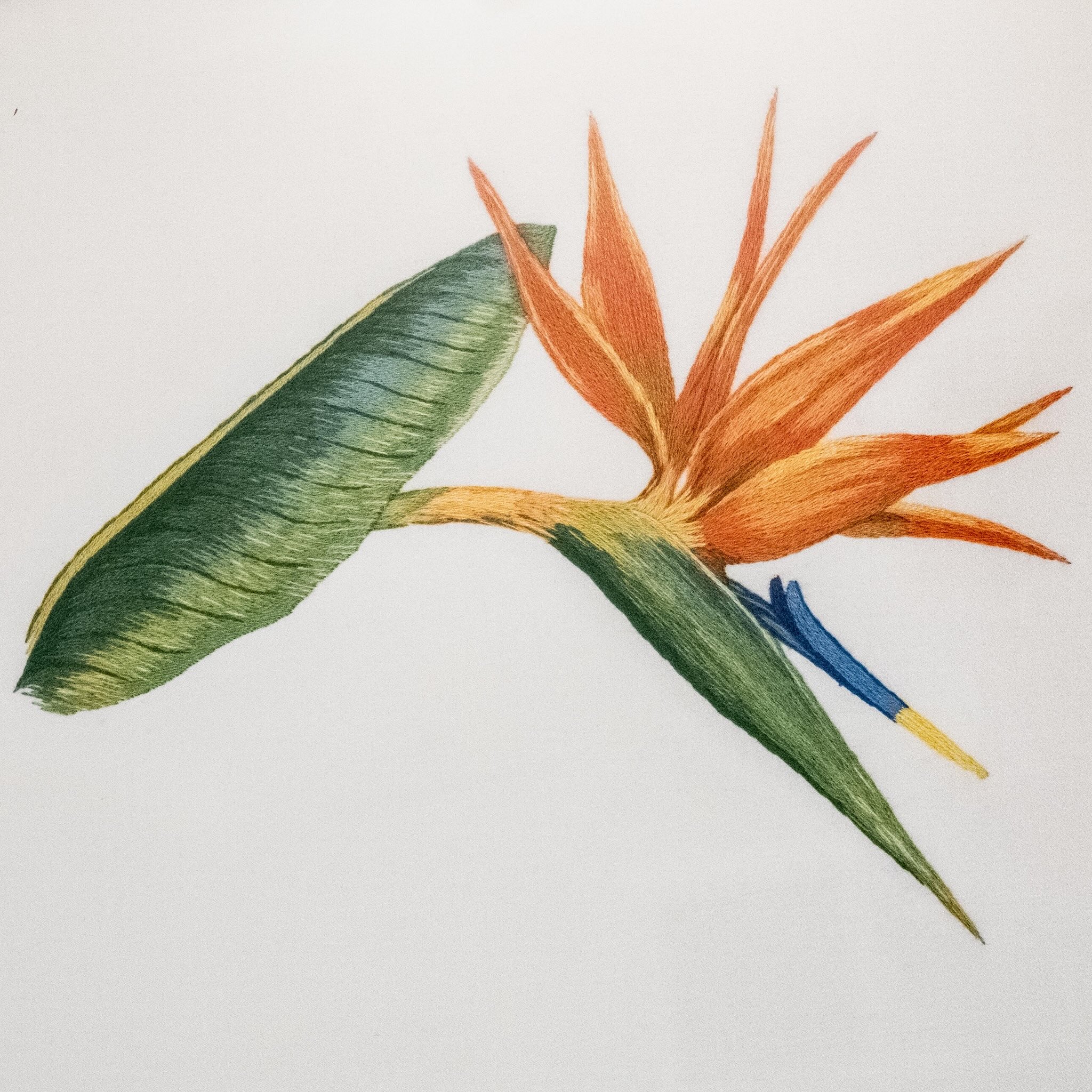 DSCF3842 Sonja Galsworthy's silk shading