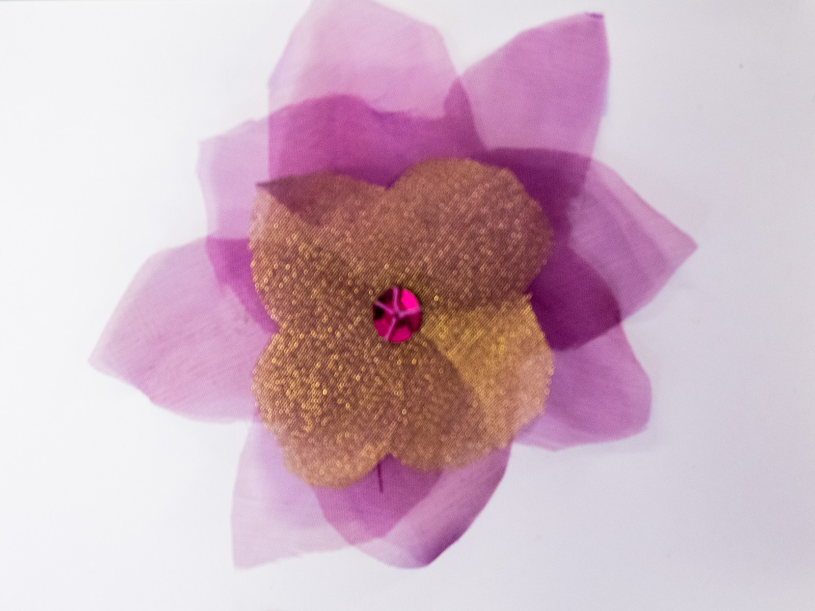 DSCF5179 Finished flower