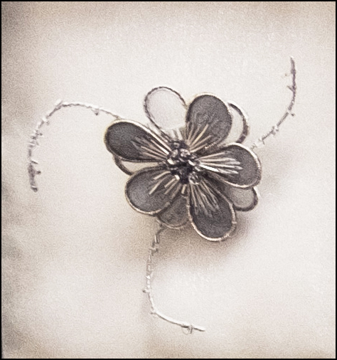 Daisy brooch - Heidi Dennis