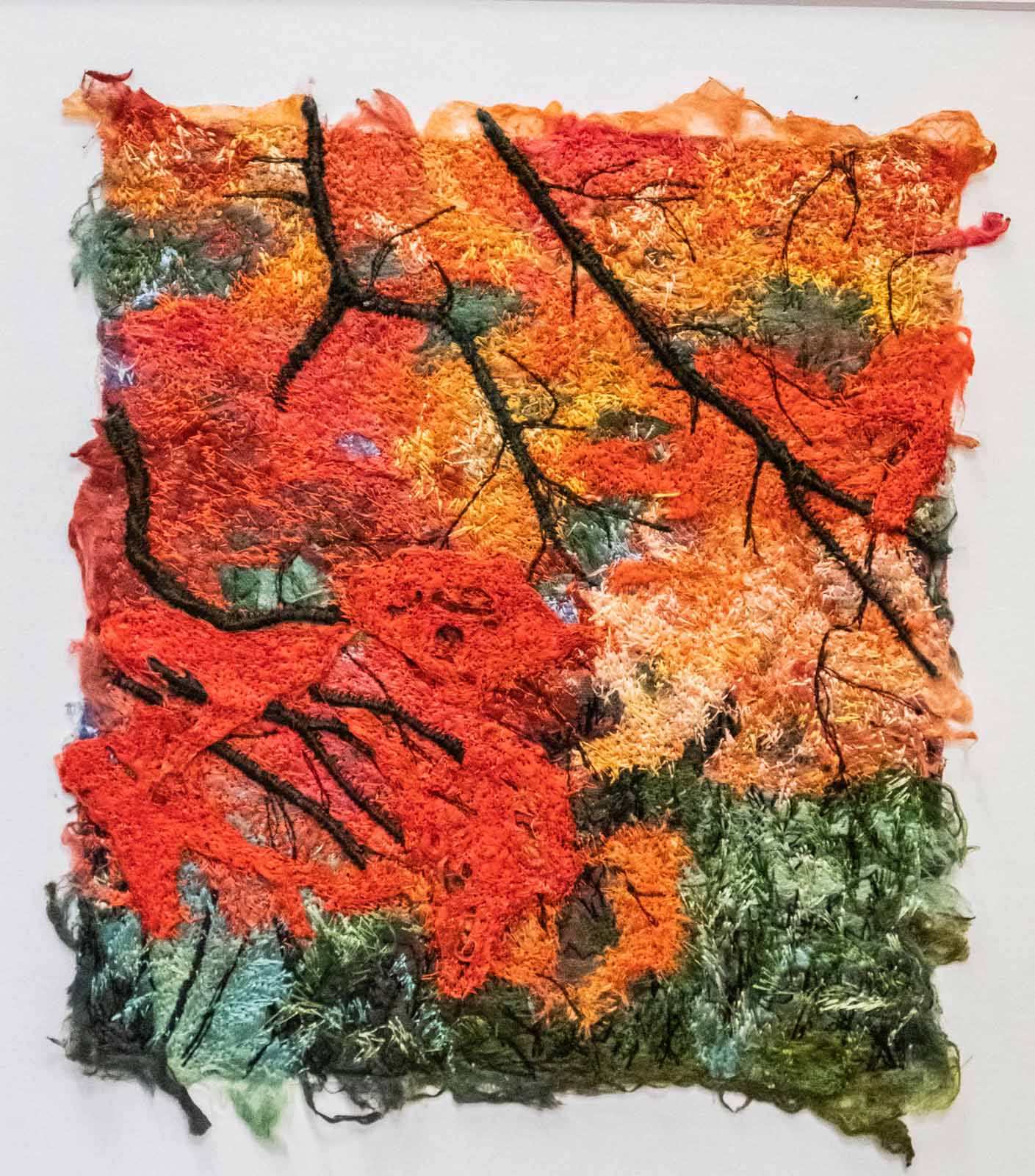Diana McKinnon's Autumn Colours