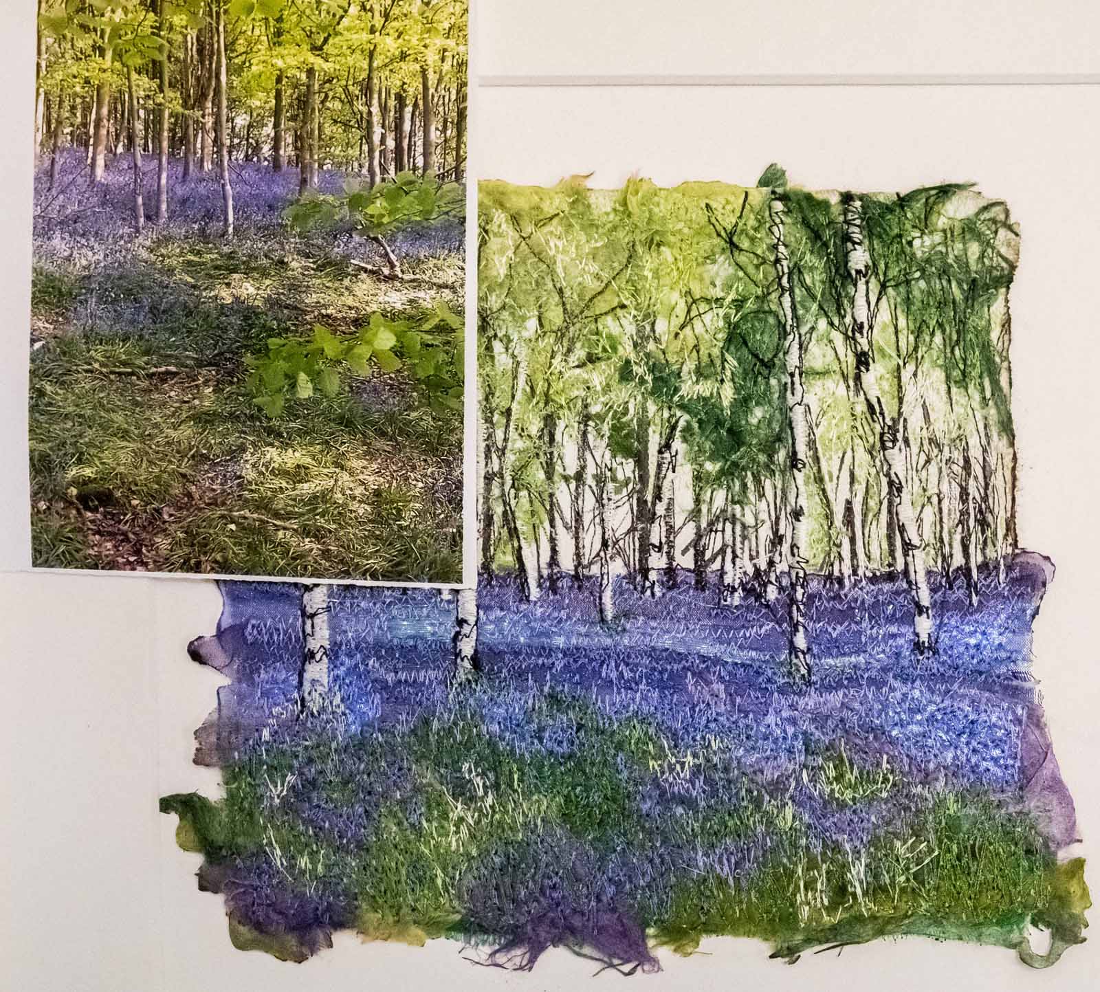 Diana McKinnon's bluebell wood 2 and photo