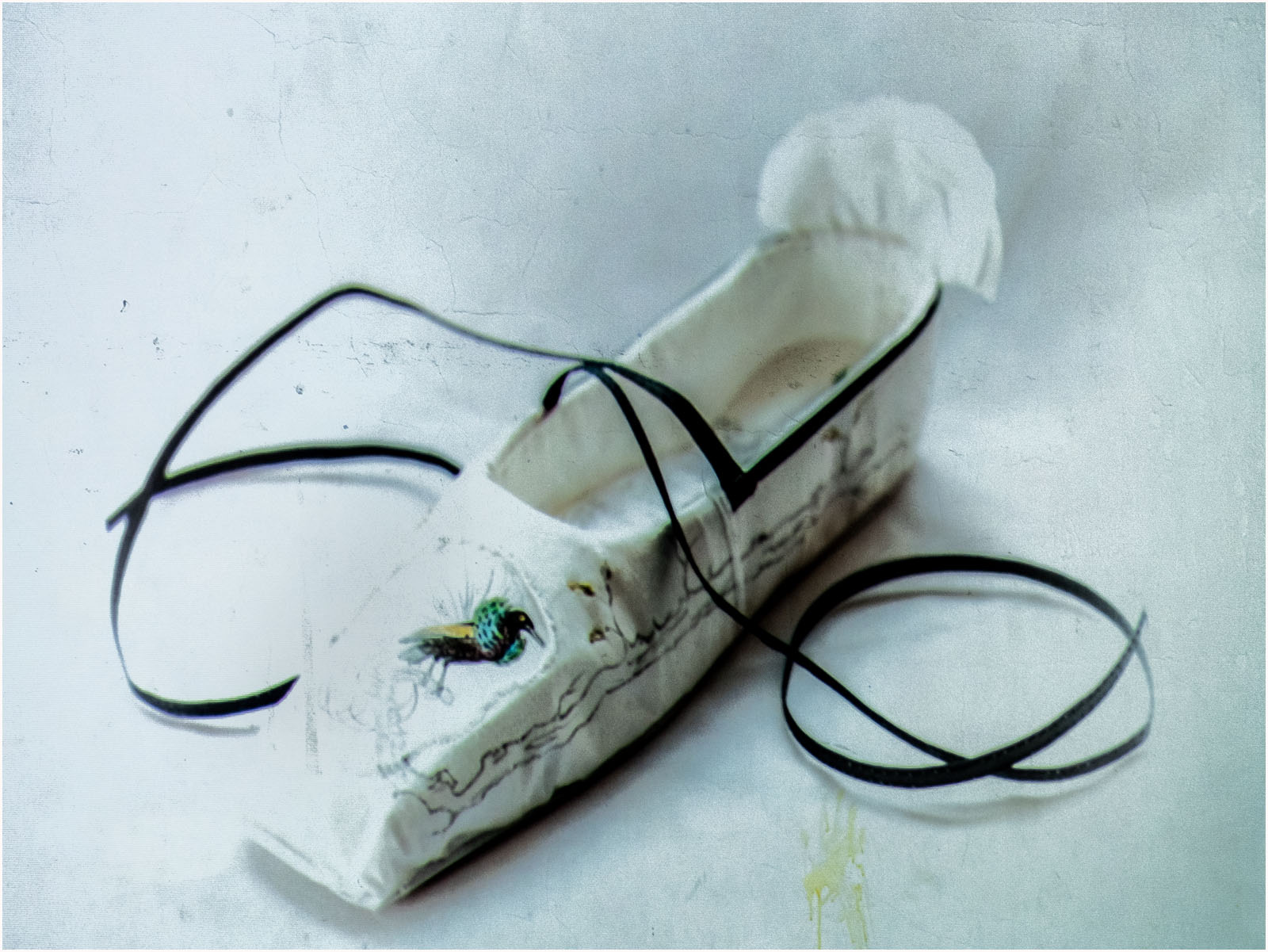 Georgian Lady's bird of paradise shoe