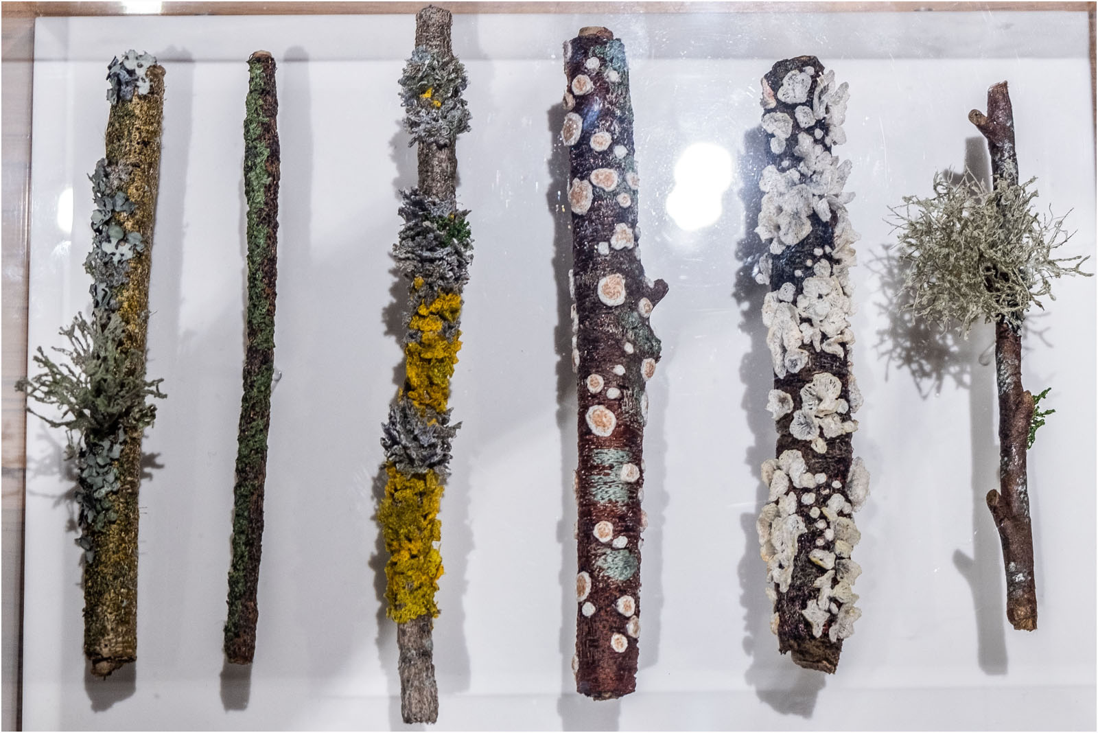 Six embroidered sticks in display box